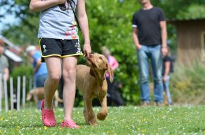 person with dog