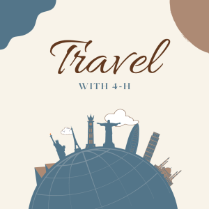 Educational travel opportunities