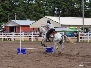 horse jumping
