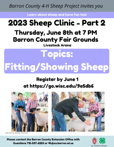 Sheep Clinic Part 2