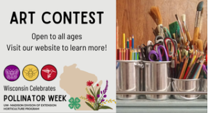 Design a Butterfly Contest