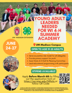 Young Adult Leaders Needed for WI 4-H Summer Academy