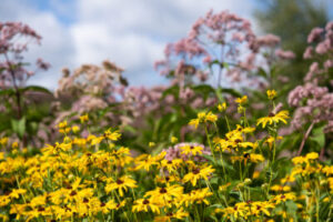 Want Expert Answers to Your Gardening Questions?