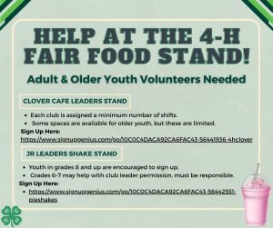 Fair Food Stand