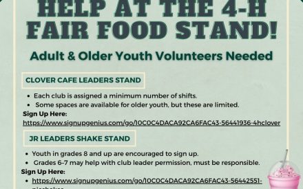 Fair Food Stand