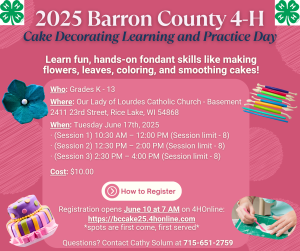 Cake Decorating Learning and Practice Day