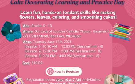 Cake Decorating Learning and Practice Day