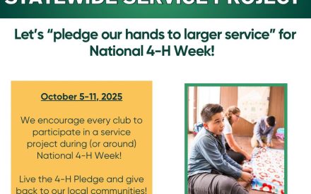 Wisconsin 4-H Statewide Service Project – National 4-H Week 2025