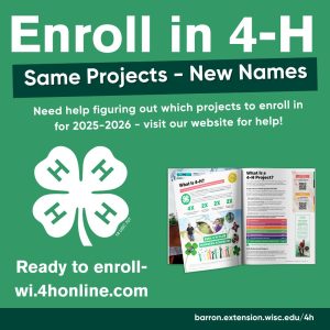 Project Guide