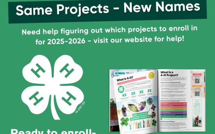 Project Guide