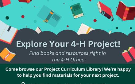 Did You Know We Have a Project Curriculum Library?