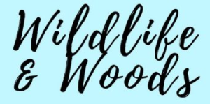 Wildlife & Woods Virtual Classes