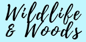Wildlife & Woods Virtual Classes