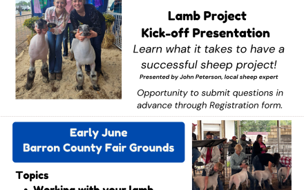 2026 Barron County 4-H Sheep Clinics