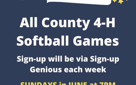 June 4-H pick-up softball games