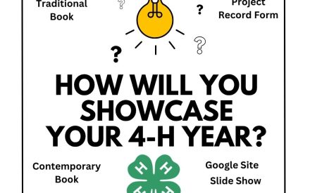 Record/Showcase – 2026